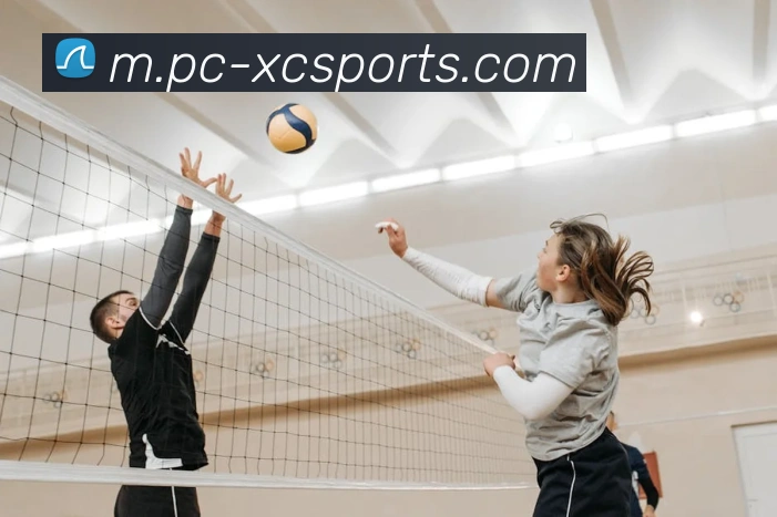 多媒体互动体验