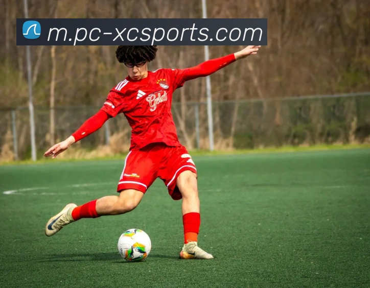 体育下注APP 高清赛事图