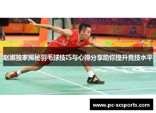 赵娜独家揭秘羽毛球技巧与心得分享助你提升竞技水平