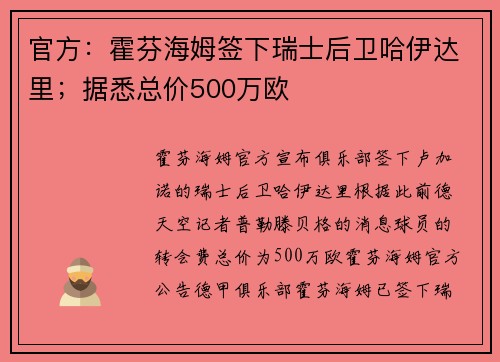 官方:霍芬海姆签下瑞士后卫哈伊达里;据悉总价500万欧 官方:霍芬海姆签下瑞士后卫哈伊达里;据悉总价500万欧